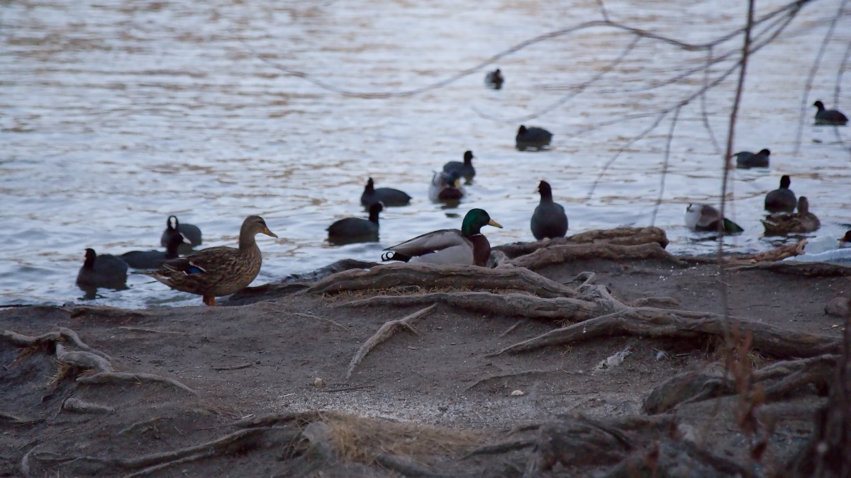 Výlet po Praze (38)