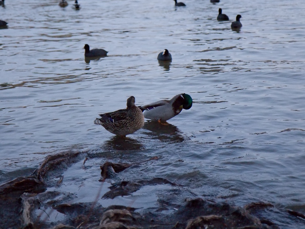 Výlet po Praze (41)